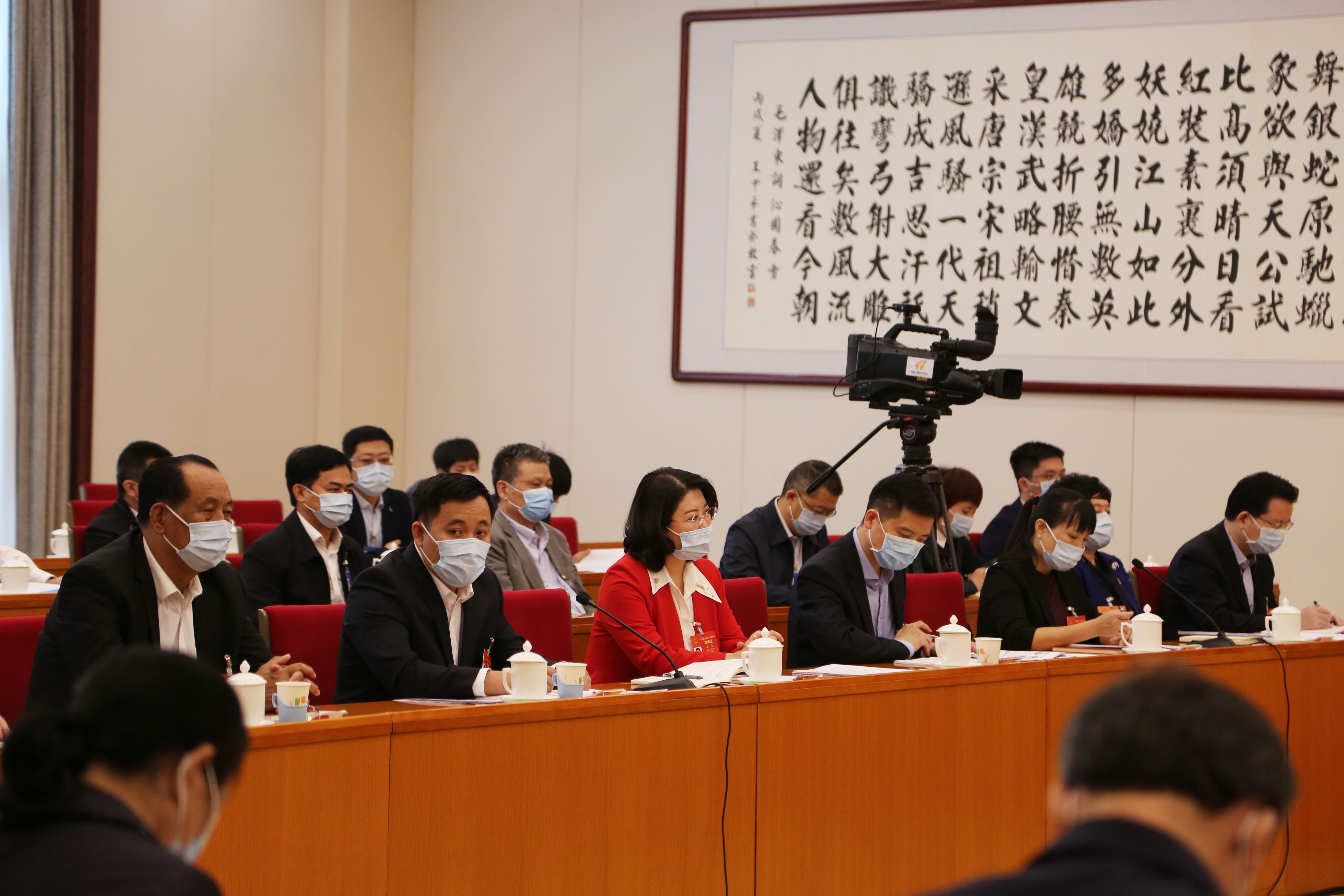 3月11日上午，海南代表团在住地审议关于政府工作报告等7个决议草案，关于修改组织法、议事规则的决定草案建议表决稿