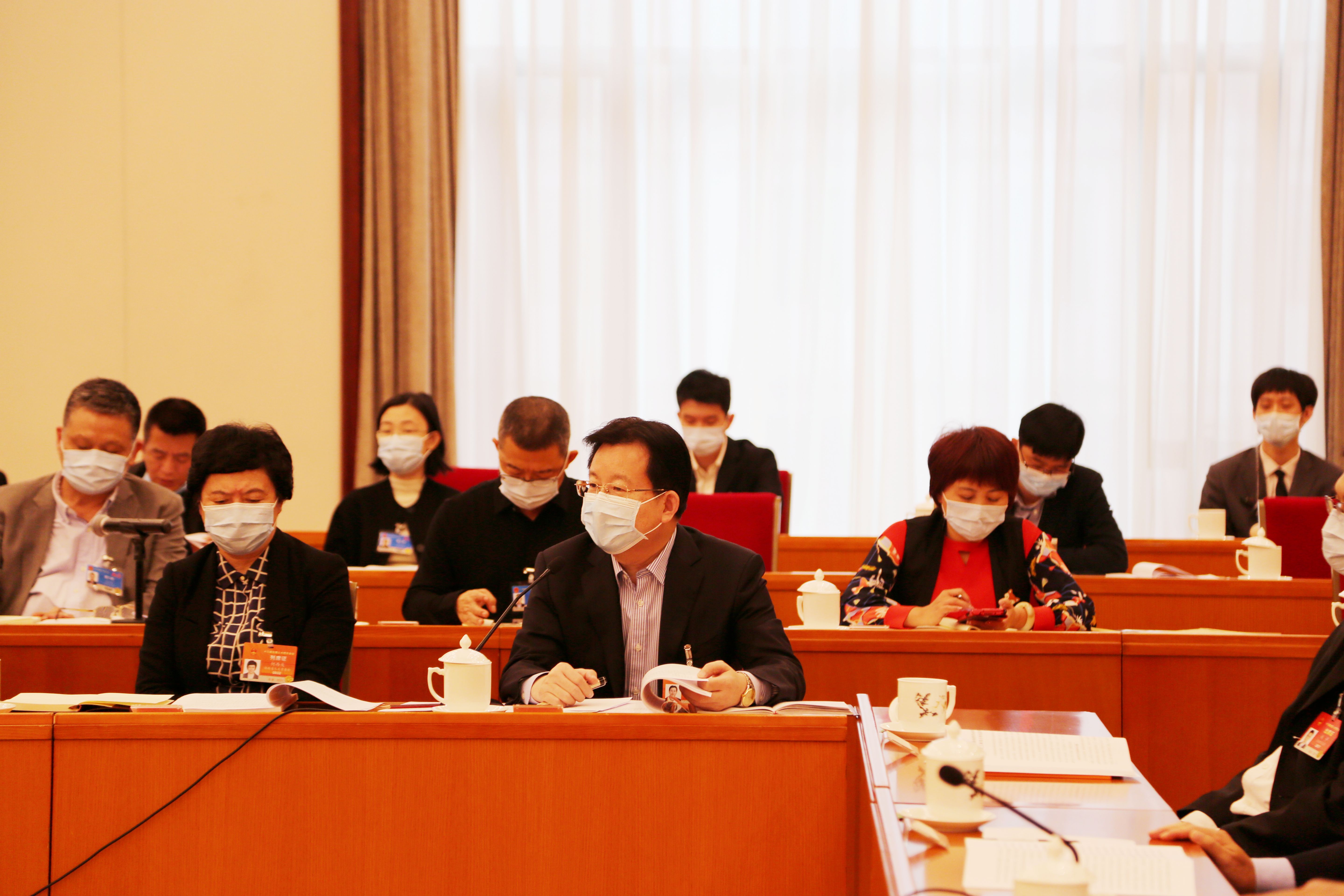 3月11日上午，海南代表团在住地审议关于政府工作报告等7个决议草案，关于修改组织法、议事规则的决定草案建议表决稿。。张旭图 (4)