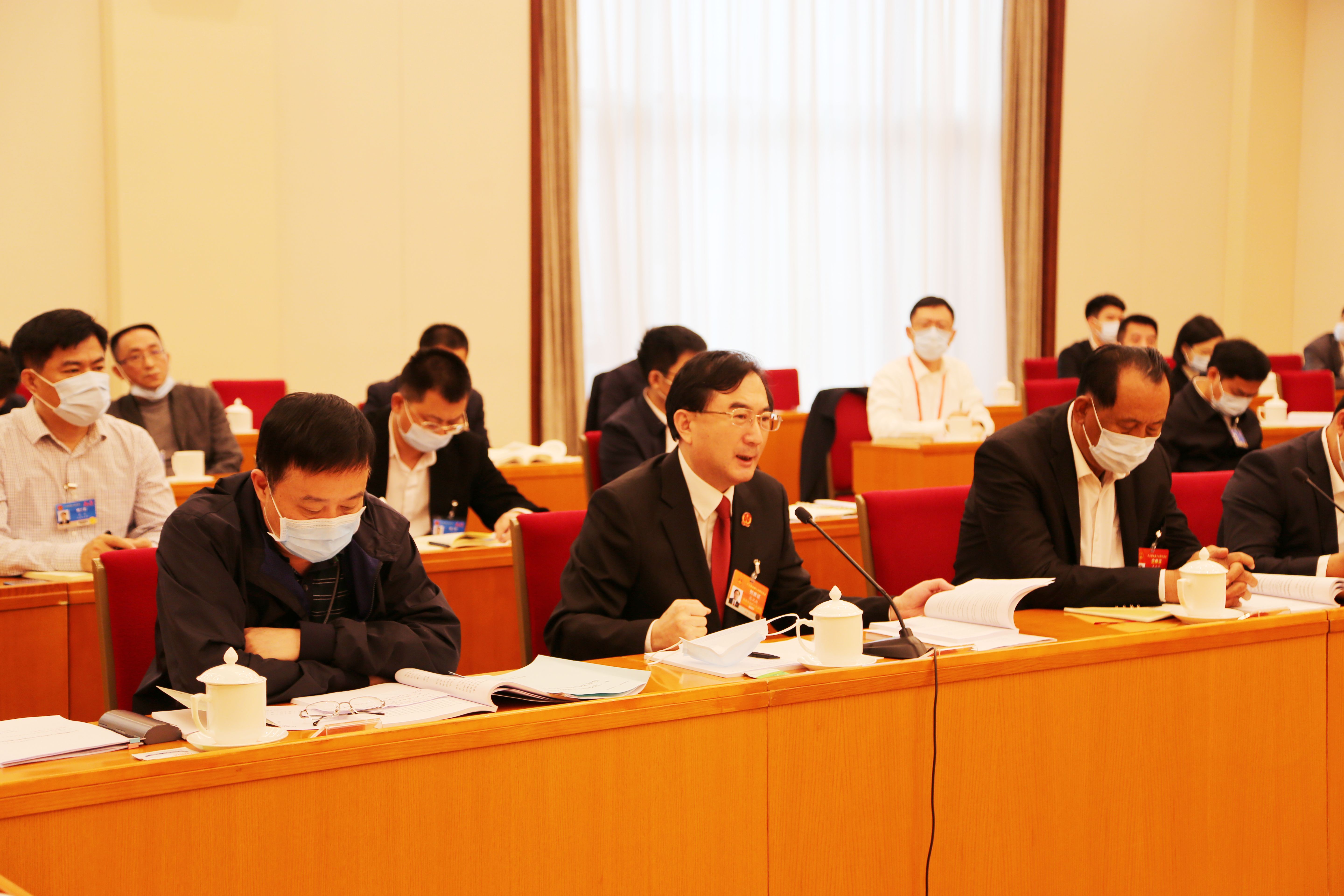 3月11日上午，海南代表团在住地审议关于政府工作报告等7个决议草案，关于修改组织法、议事规则的决定草案建议表决稿。。张旭图 (3)