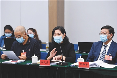 1月13日，参加海南省七届人大一次会议的代表分组审议政府工作报告。图为海口团代表汤成慧发言