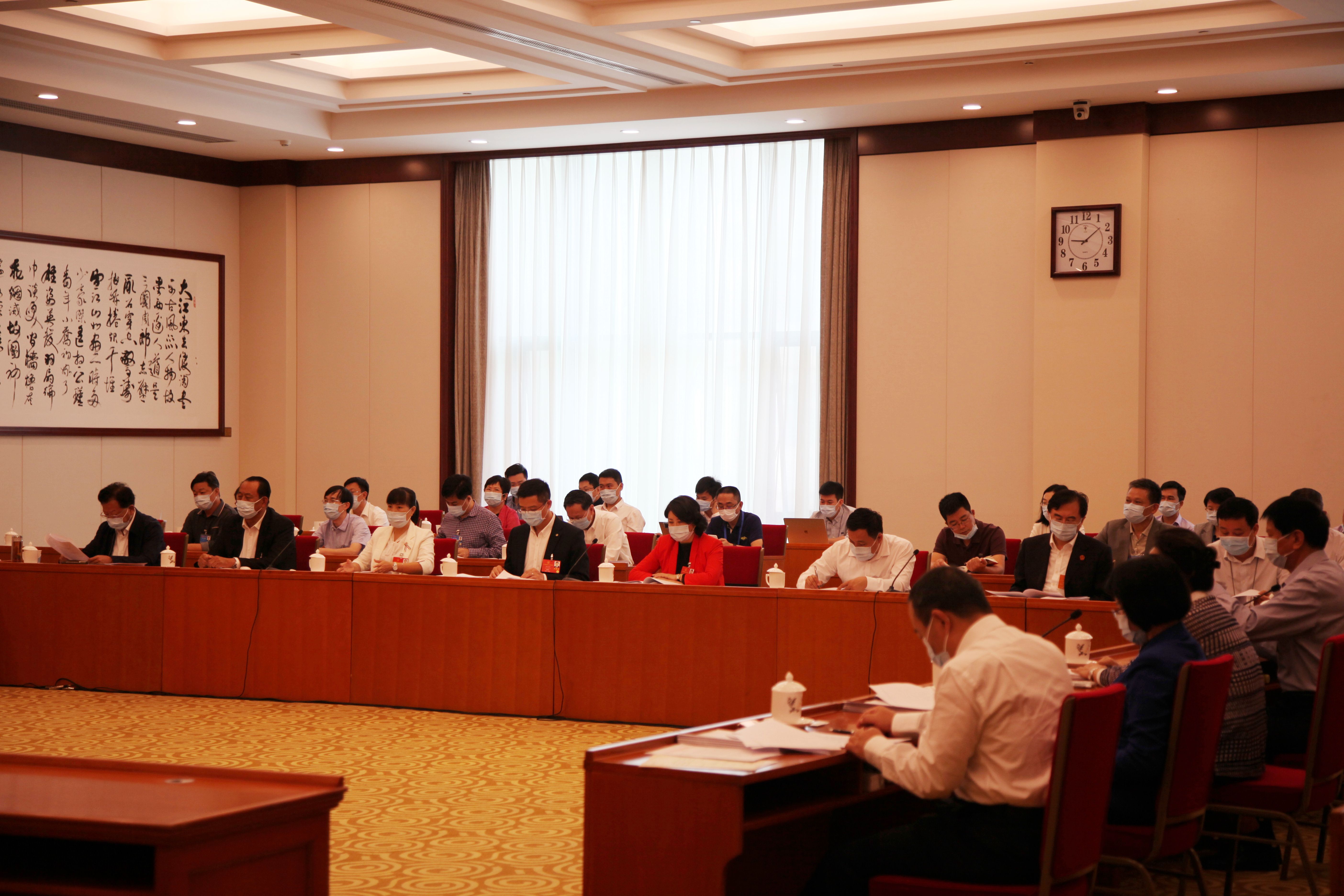 5月28日上午，海南代表团审议通过各项决议
