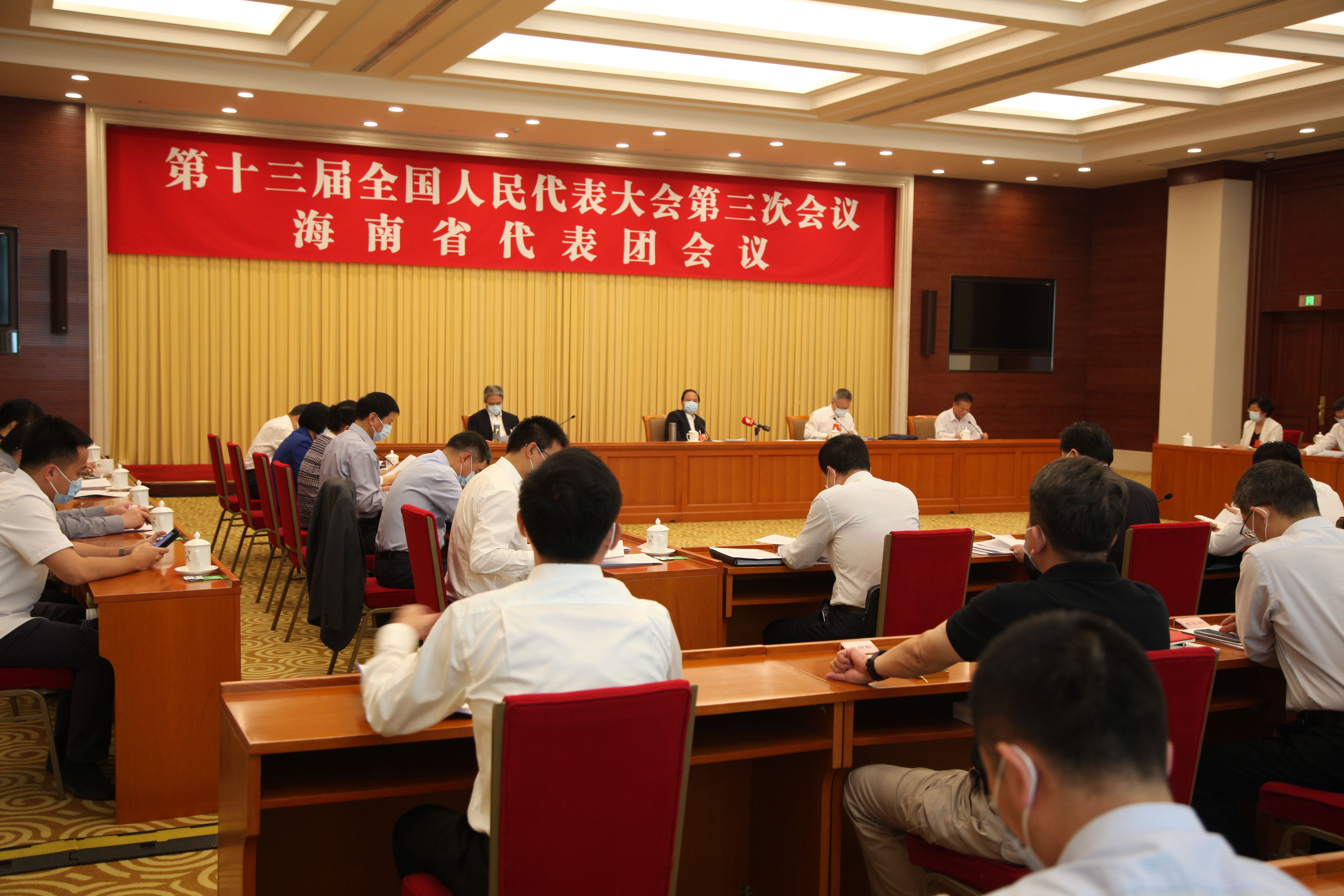 5月28日上午，海南代表团审议通过各项决议
